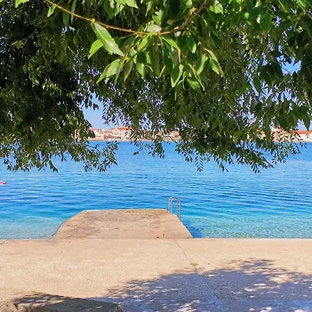 Mare *