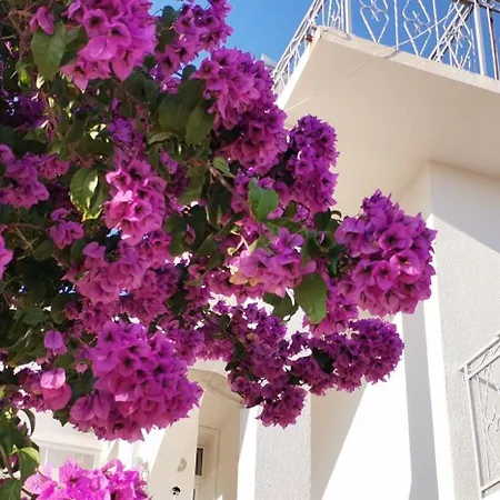 Mare Apartment Brodarica (Sibenik-Knin)