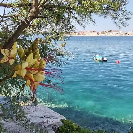 Mare Daire *